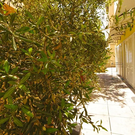 Campus *